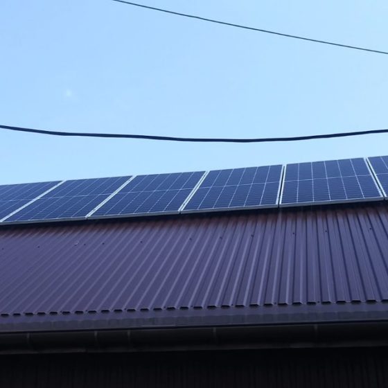 Okay Taxi - 222291559 383980650102756 5914181774627997778 n